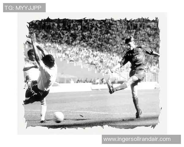 足球明星柔情鸟的传奇人生与赛场背后的感人故事