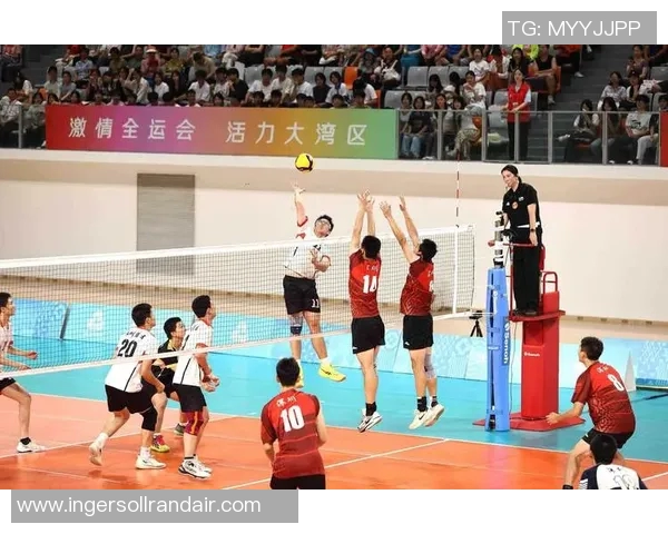 广州排球队荣登排球耐力排行榜首位展现顽强拼搏精神